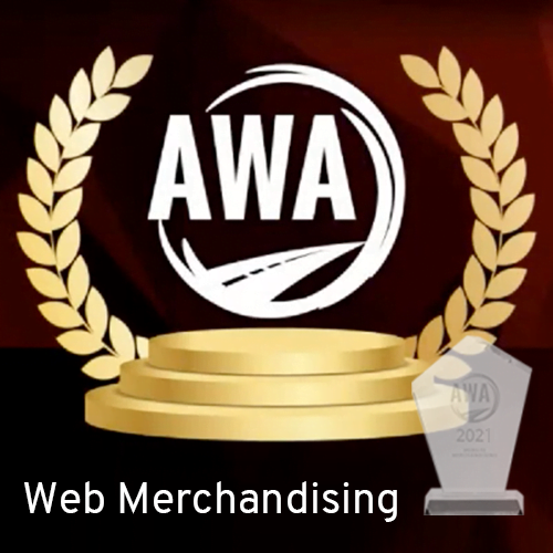 Traddepedning award Web Merchandising