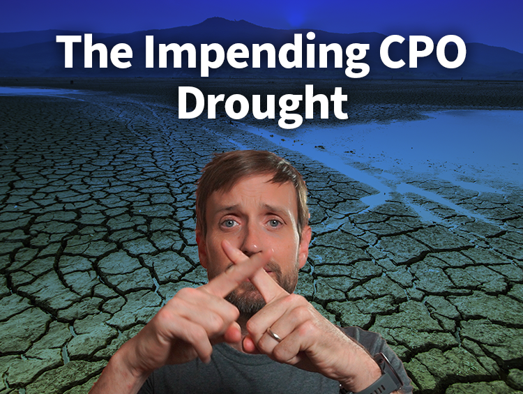 The Impending CPO Drought